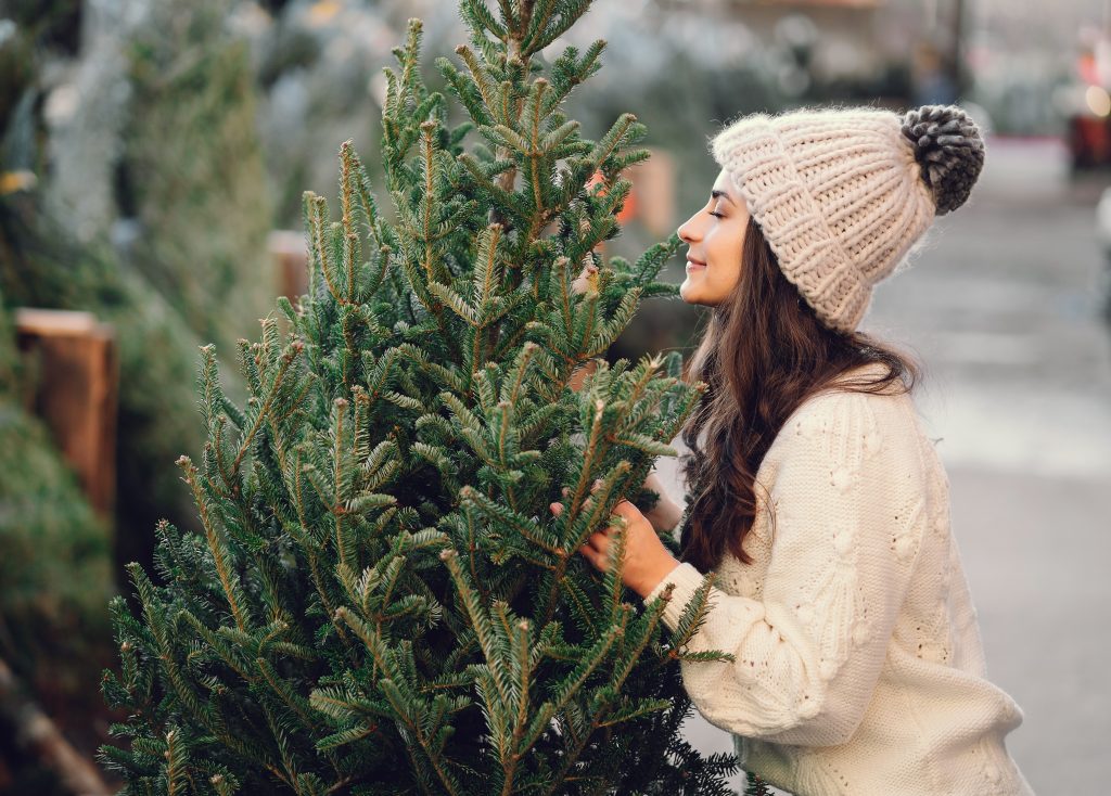 Kako sačuvati prirodnu jelku sa busenom tokom praznika i kako je posle posaditi