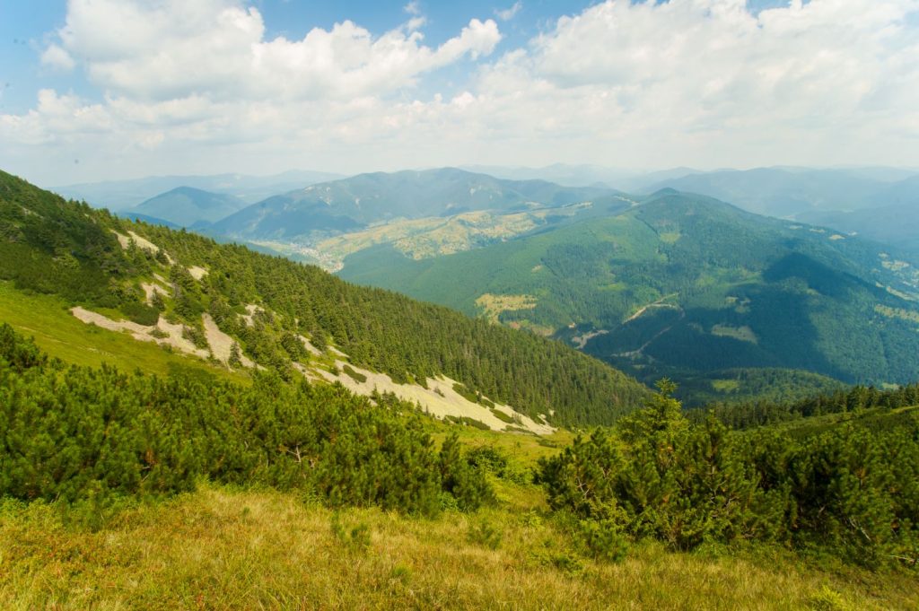 Planina Javor: Prirodni lek za anemične i osobe sa slabim imunitetom