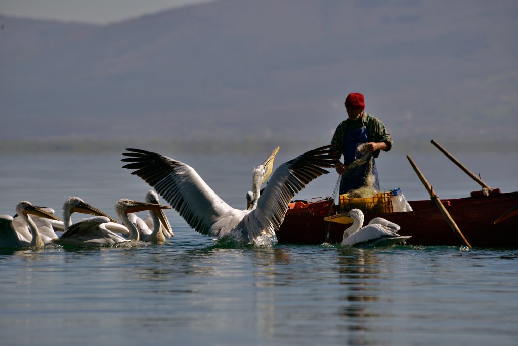 EU Youth Cinema dolazi u Srbiju, donosi najnovije ekološke dokumentarne filmove